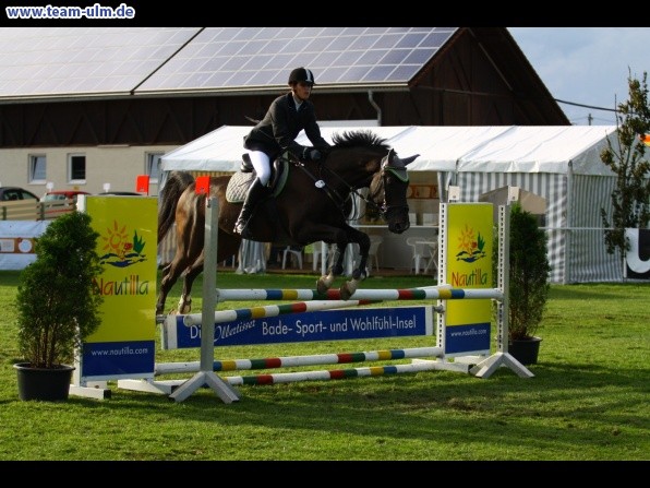 Reitturnier @ Illertissen - Bild 62