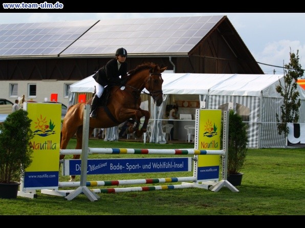 Reitturnier @ Illertissen - Bild 64