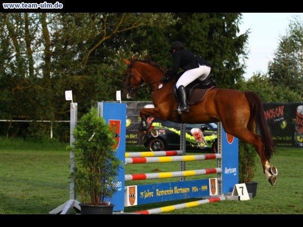 Reitturnier @ Illertissen - Bild 65