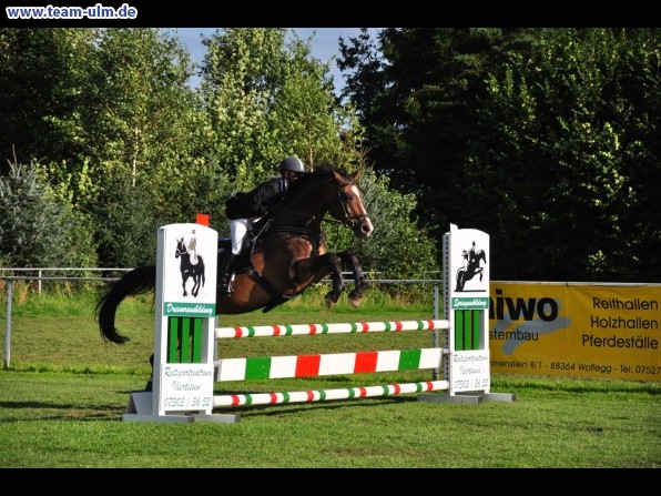 Reitturnier @ Illertissen - Bild 7