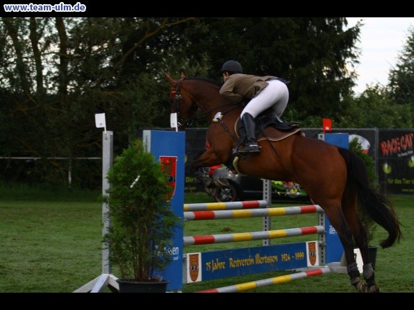Reitturnier @ Illertissen - Bild 70