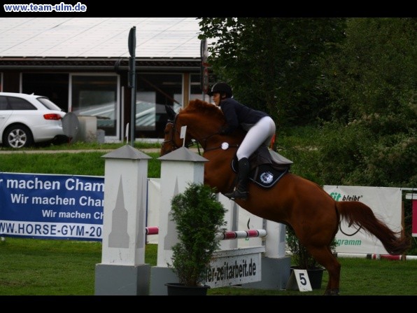 Reitturnier @ Illertissen - Bild 72