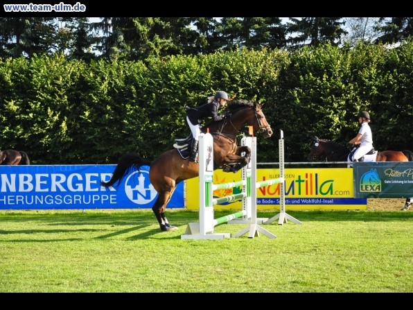 Reitturnier @ Illertissen - Bild 8