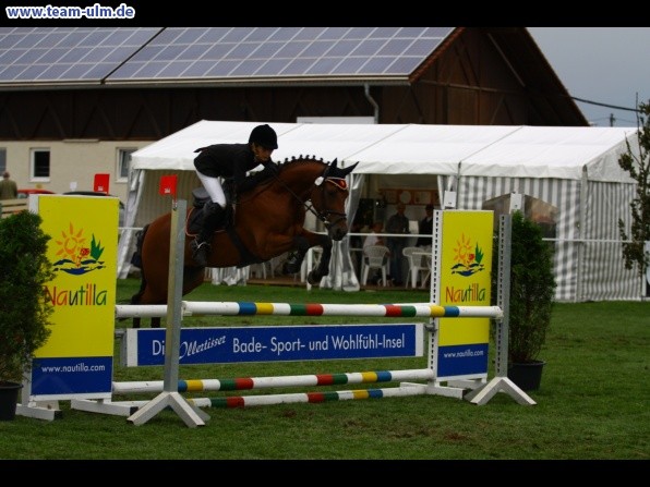 Reitturnier @ Illertissen - Bild 80