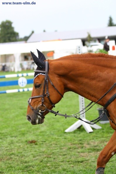 Reitturnier @ Illertissen - Bild 84