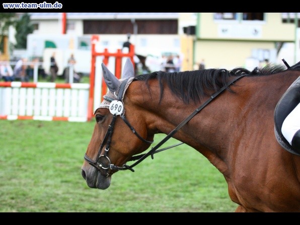 Reitturnier @ Illertissen - Bild 87