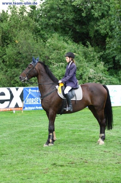 Reitturnier @ Illertissen - Bild 88