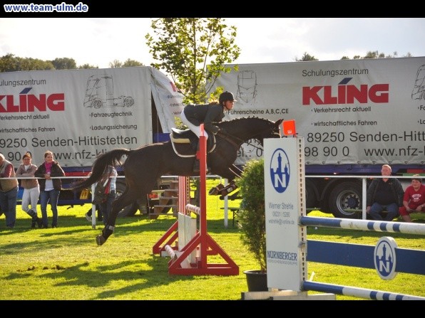 Reitturnier @ Illertissen - Bild 9
