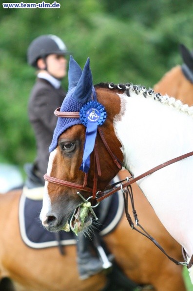 Reitturnier @ Illertissen - Bild 97