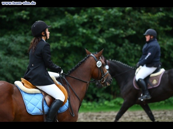 Reitturnier @ Illertissen - Bild 1