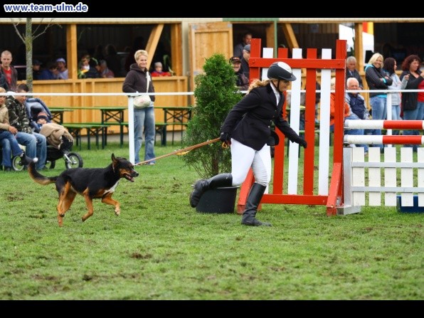 Reitturnier @ Illertissen - Bild 10