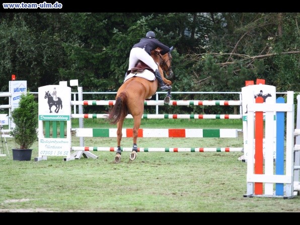 Reitturnier @ Illertissen - Bild 100