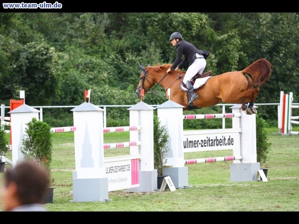 Reitturnier @ Illertissen - Bild 101