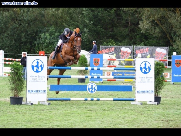 Reitturnier @ Illertissen - Bild 102