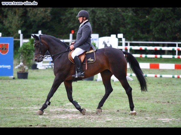 Reitturnier @ Illertissen - Bild 106