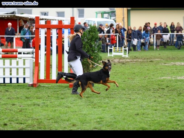 Reitturnier @ Illertissen - Bild 11