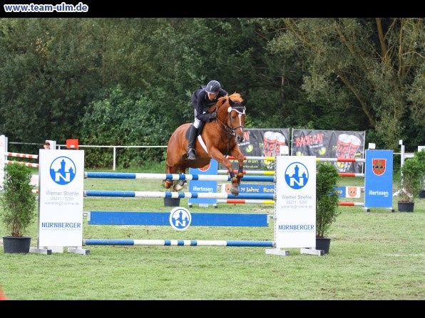 Reitturnier @ Illertissen - Bild 110