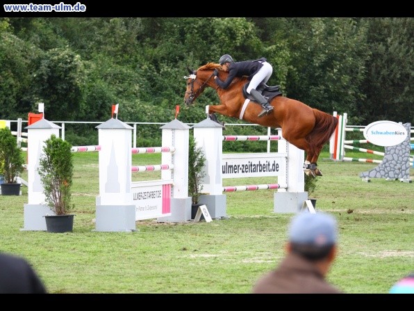 Reitturnier @ Illertissen - Bild 111