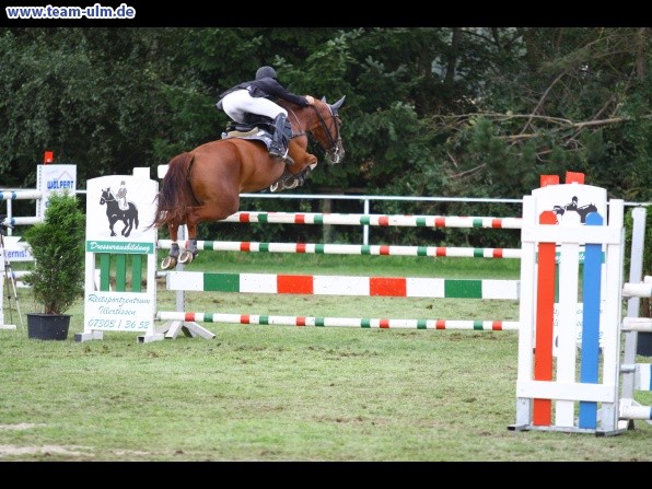 Reitturnier @ Illertissen - Bild 114