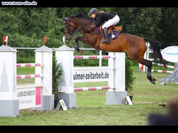 Reitturnier @ Illertissen - Bild 118
