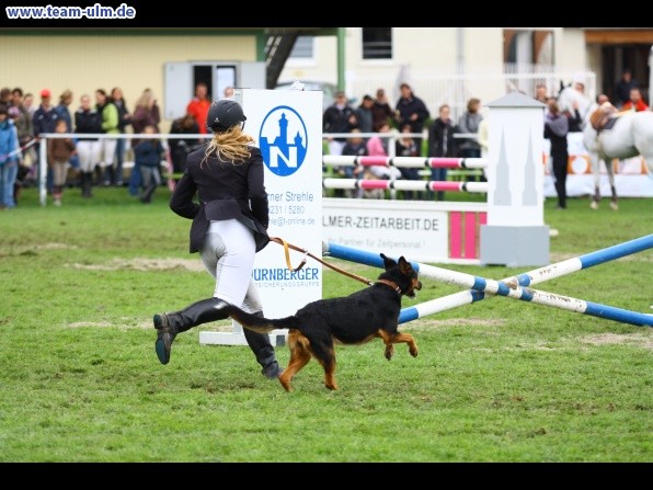 Reitturnier @ Illertissen - Bild 12