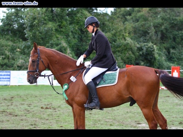 Reitturnier @ Illertissen - Bild 120