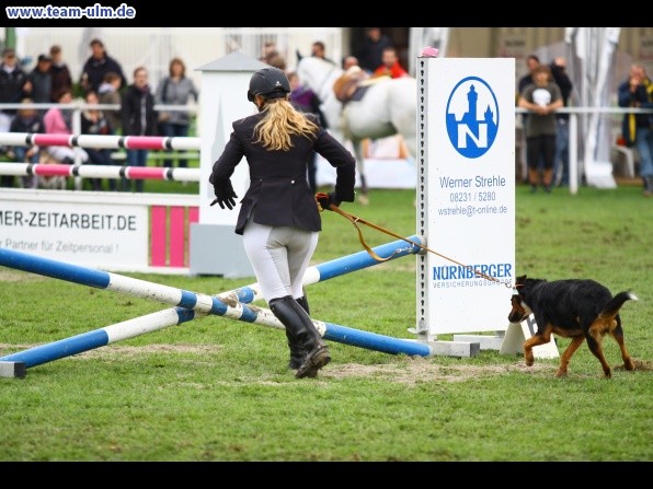 Reitturnier @ Illertissen - Bild 13