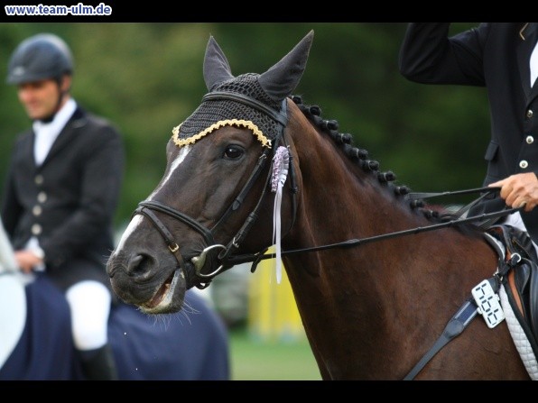 Reitturnier @ Illertissen - Bild 132