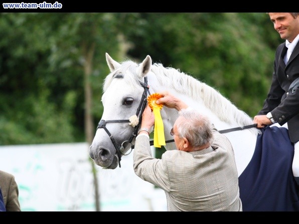 Reitturnier @ Illertissen - Bild 134