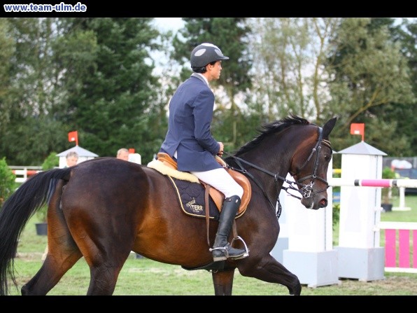 Reitturnier @ Illertissen - Bild 139