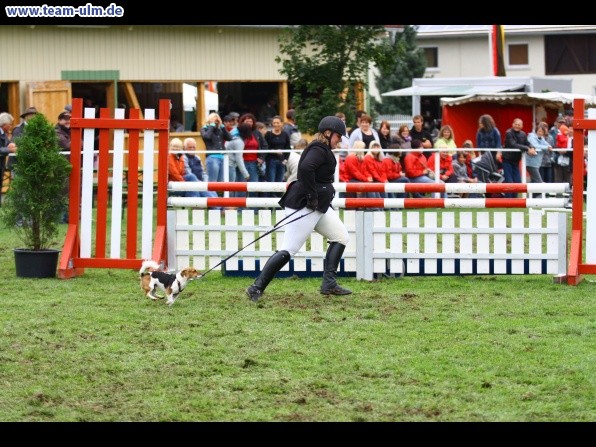 Reitturnier @ Illertissen - Bild 15