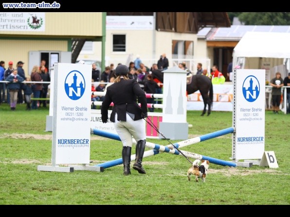 Reitturnier @ Illertissen - Bild 16