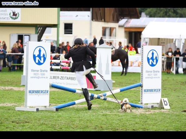 Reitturnier @ Illertissen - Bild 17