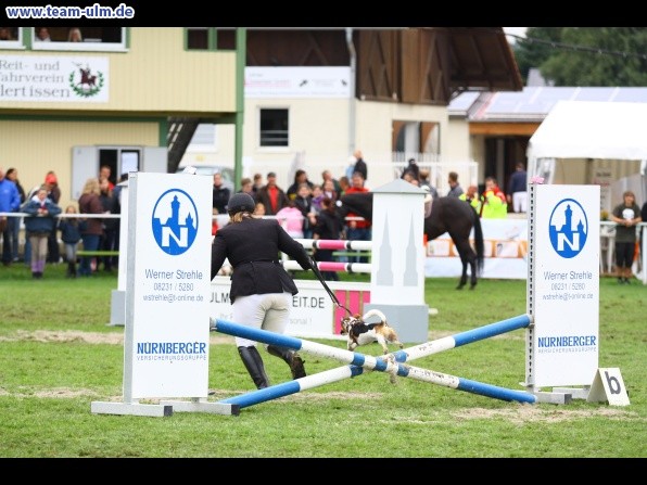 Reitturnier @ Illertissen - Bild 18