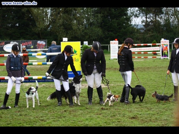 Reitturnier @ Illertissen - Bild 19