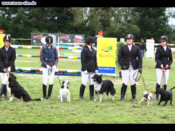 Reitturnier @ Illertissen - Bild 20
