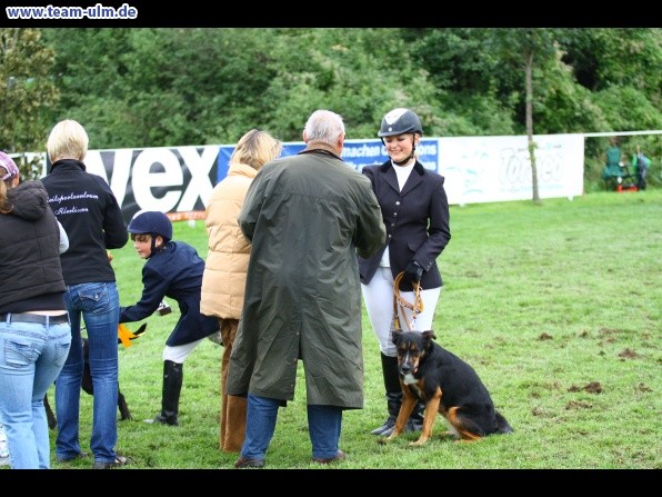 Reitturnier @ Illertissen - Bild 26