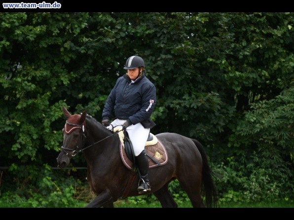 Reitturnier @ Illertissen - Bild 3