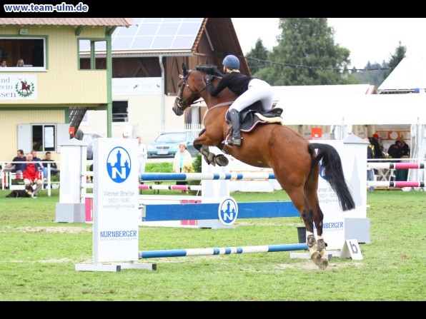 Reitturnier @ Illertissen - Bild 39