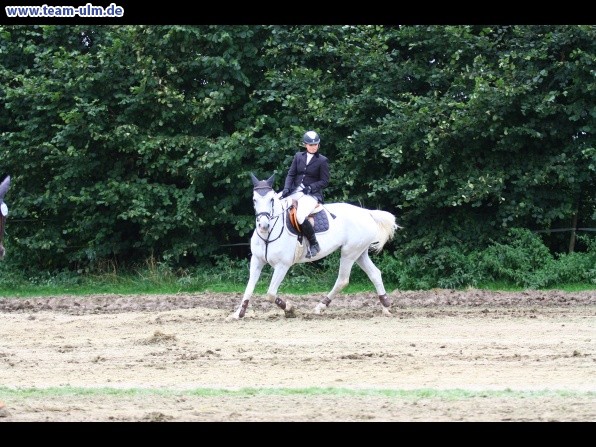 Reitturnier @ Illertissen - Bild 4