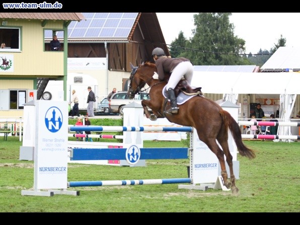 Reitturnier @ Illertissen - Bild 45