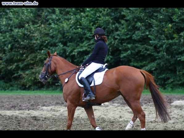 Reitturnier @ Illertissen - Bild 47