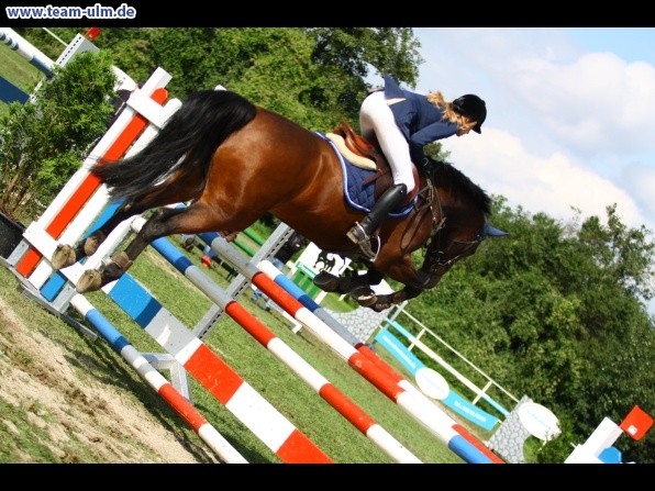 Reitturnier @ Illertissen - Bild 50
