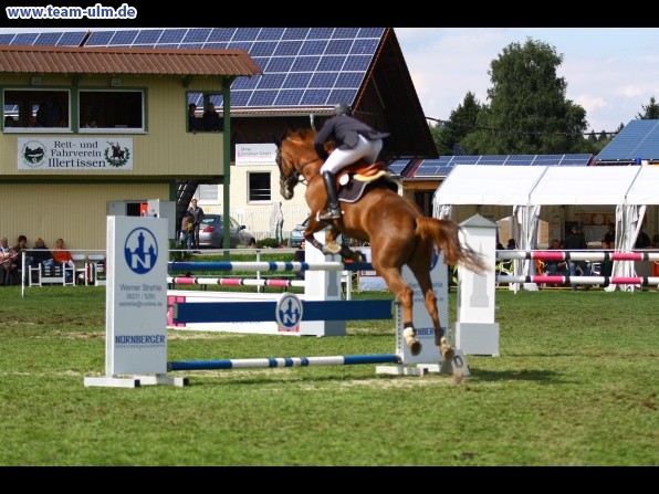 Reitturnier @ Illertissen - Bild 51