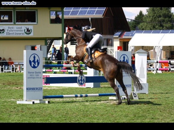 Reitturnier @ Illertissen - Bild 54