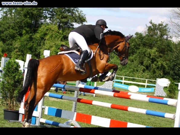 Reitturnier @ Illertissen - Bild 57