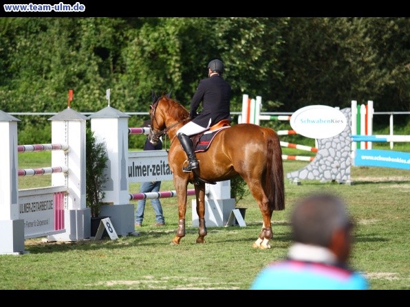Reitturnier @ Illertissen - Bild 58