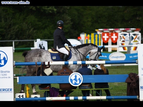 Reitturnier @ Illertissen - Bild 62