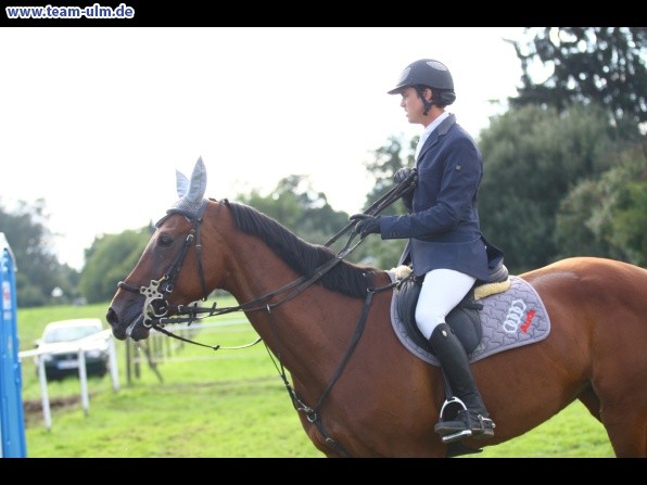 Reitturnier @ Illertissen - Bild 63