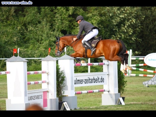 Reitturnier @ Illertissen - Bild 65